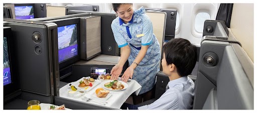 Ultimate Guide To Fly - Book All Nippon Airways Flights For Luxury Travel
