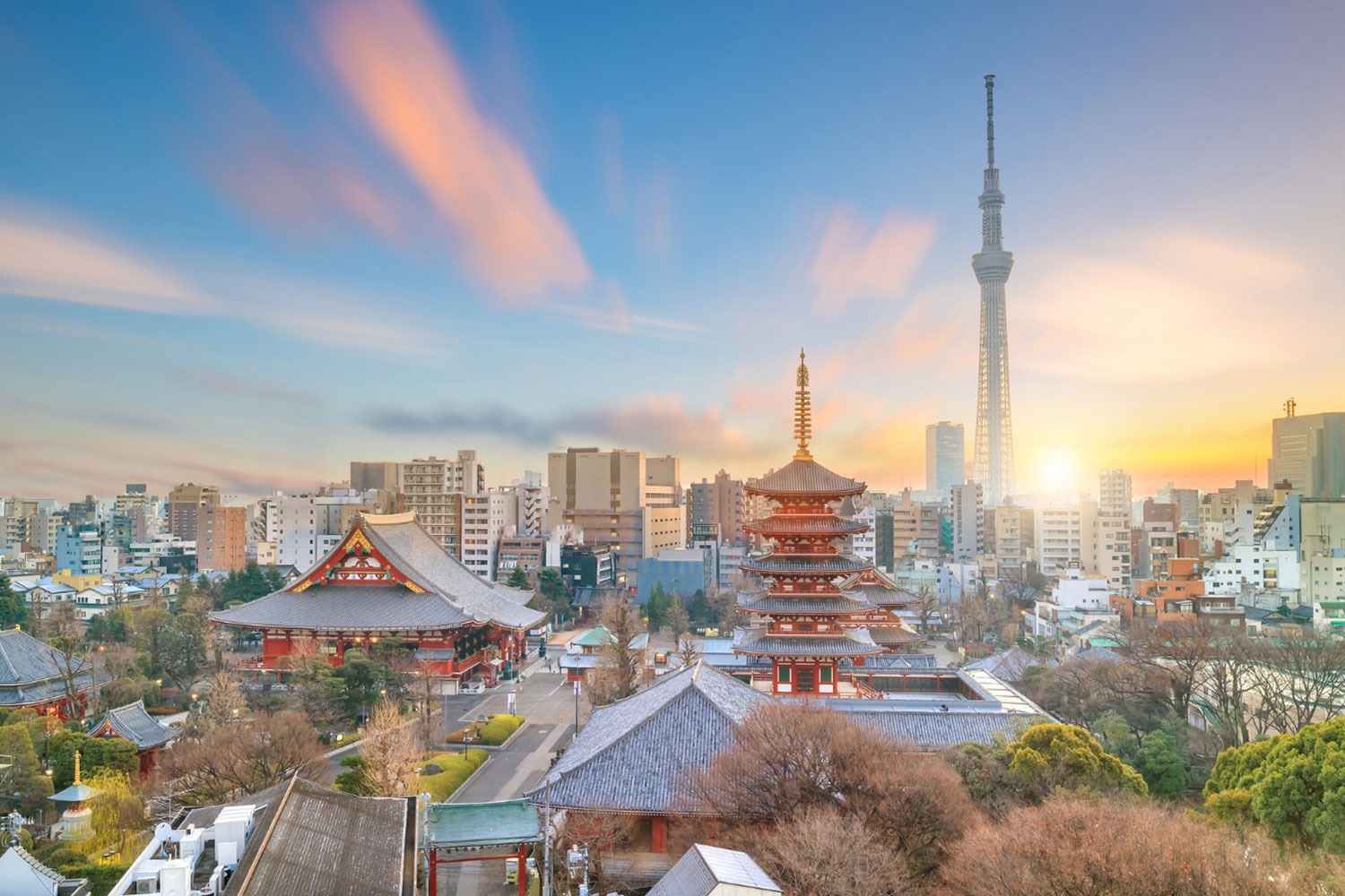 Experience Luxury in Japan Airlines at Exclusive Fares